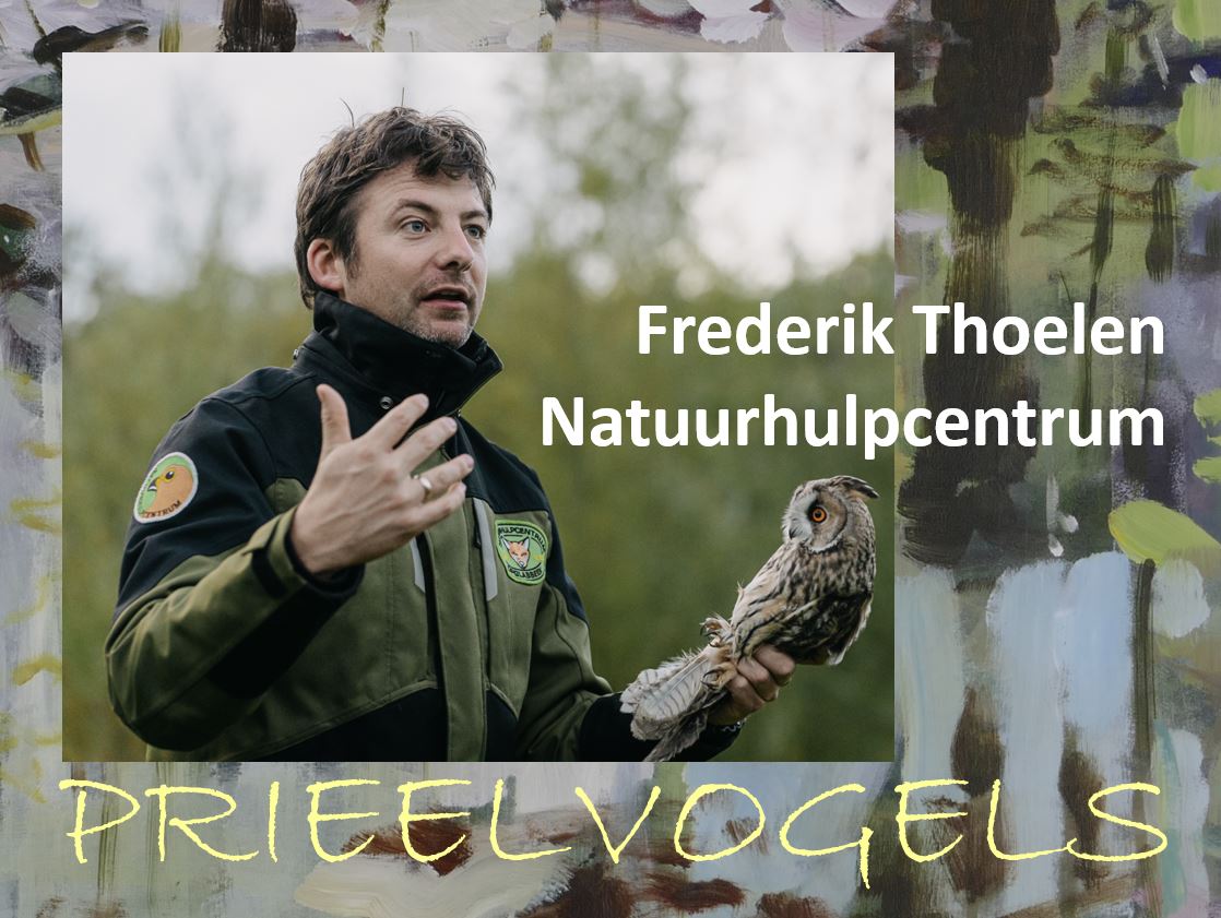 Prieelvogels met Frederik Thoelen post thumbnail image