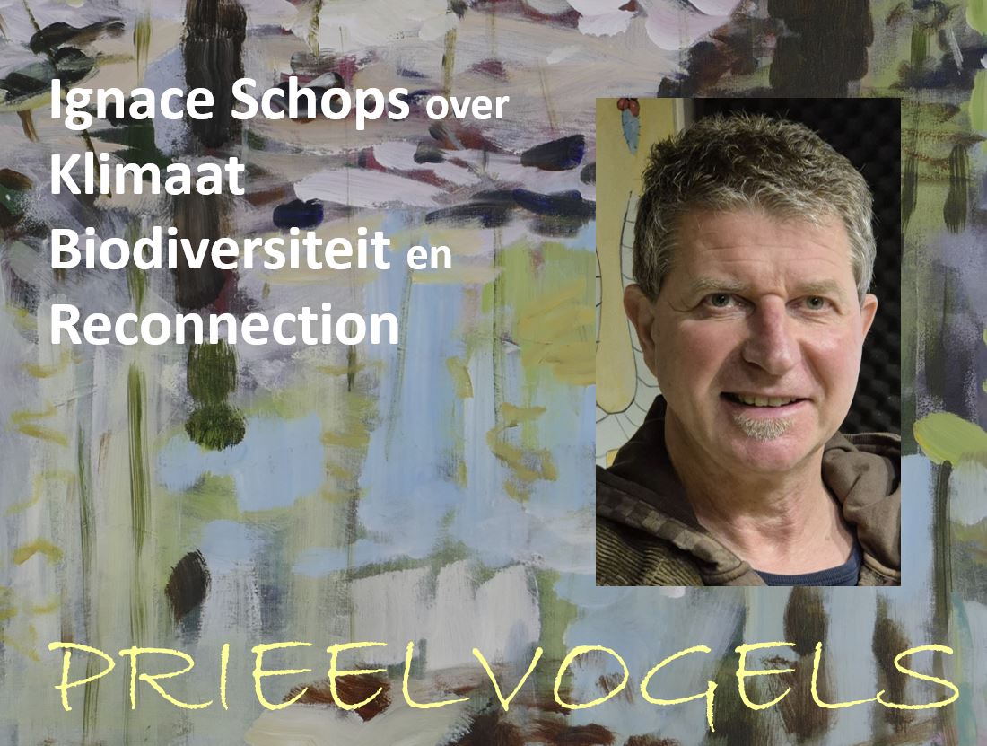 Prieelvogels met Ignace Schops post thumbnail image