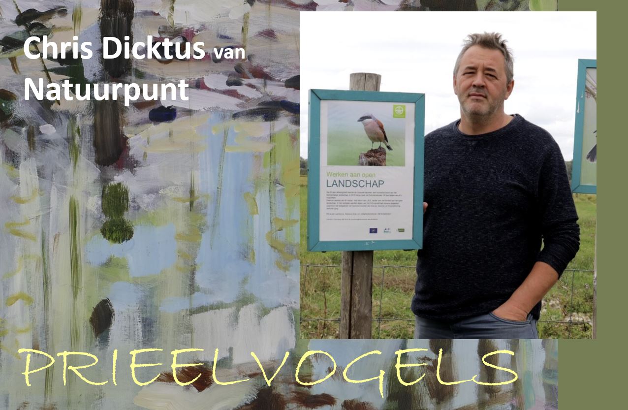 Prieelvogels met Chris Dictus post thumbnail image